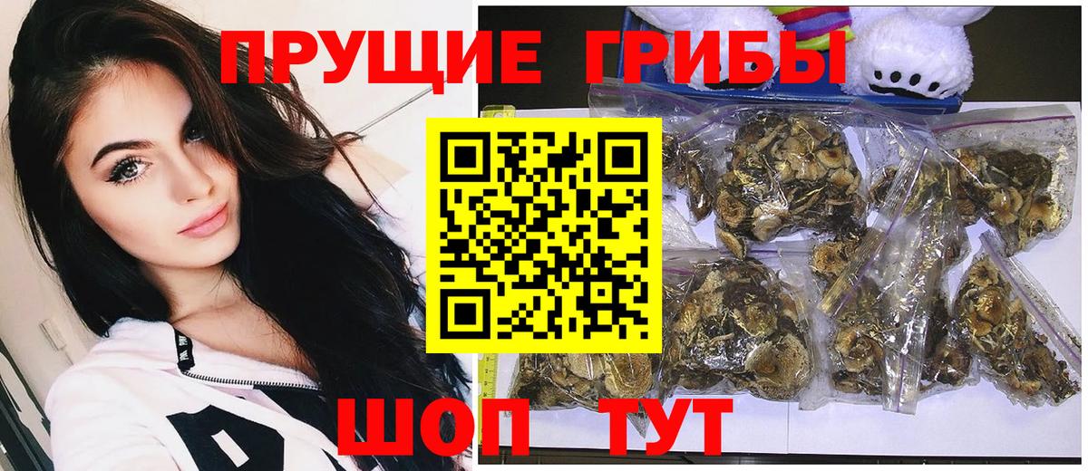 Орехово-Зуево  Псилоцибиновые грибы мицелий  Вход с VPN 